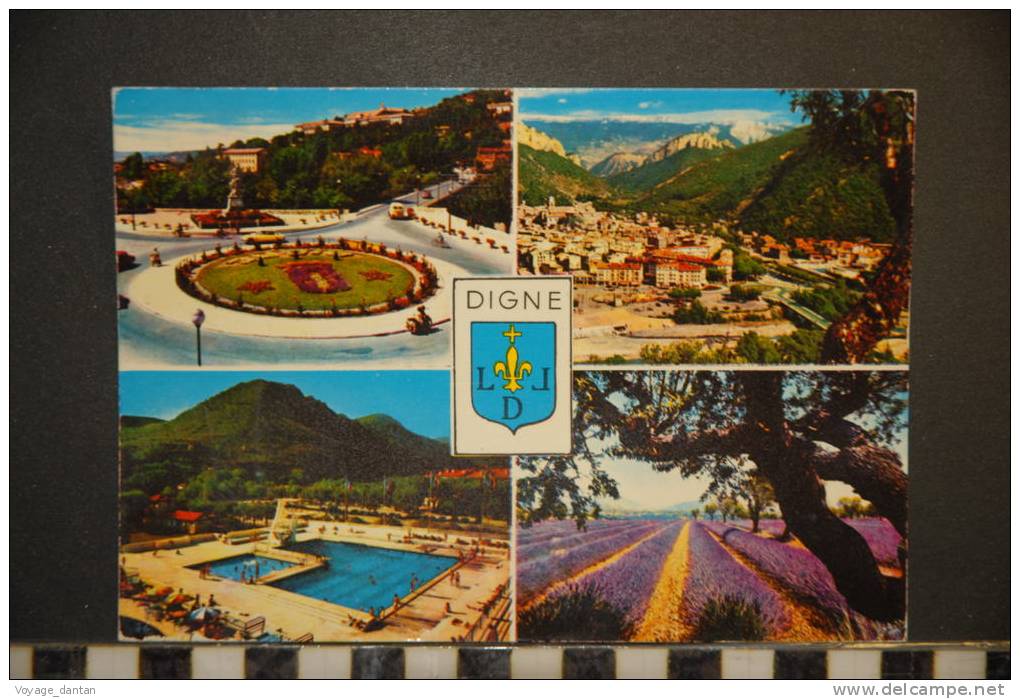 CP, 04, Digne Vue Générale Rond Point Piscine Champ De Lavande Editions André 1973 - Digne