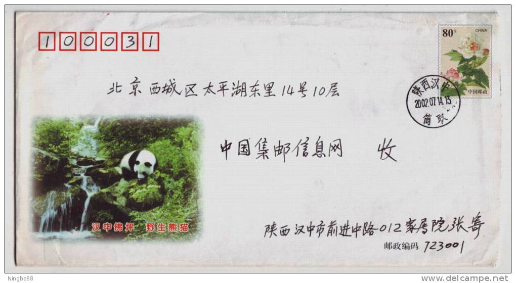 Forest Waterfall Giant Panda,CN 01 Shaanxi Province Hanzhong Foping Nature Reserve Postal Stationery Envelope - Other & Unclassified