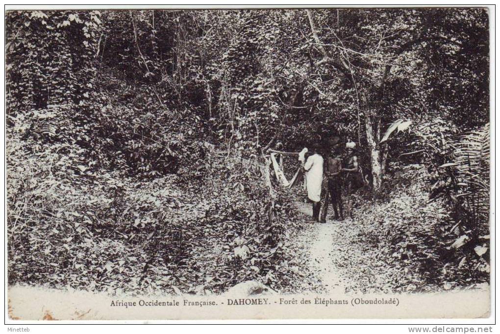 Dahomey Forêt Des éléphants - Dahomey