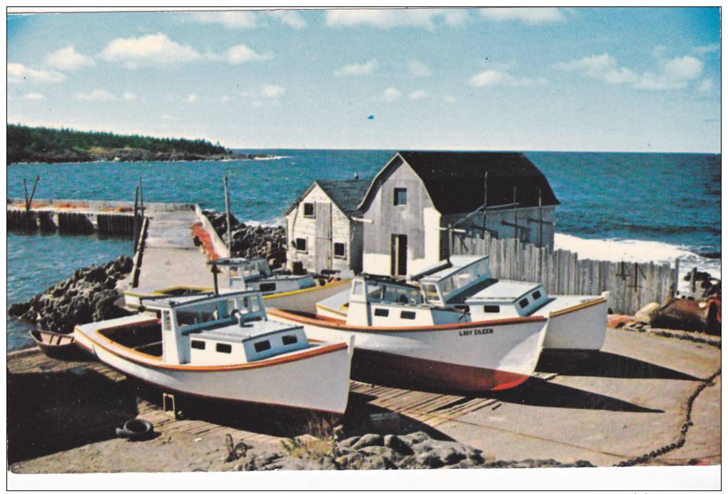 Whale Cove,  A Village Of Lobster Fishermen,  Nova Scotia,   Canada,  40-60s - Autres & Non Classés