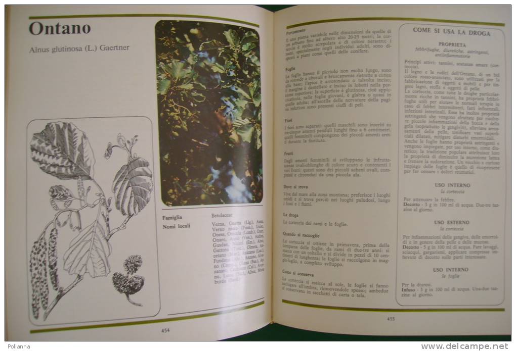 PFD/3 SCOPRIRE RICONOSCERE USARE LE ERBE Fabbri 1980/ERBORISTERIA/BOTANICA - Gardening