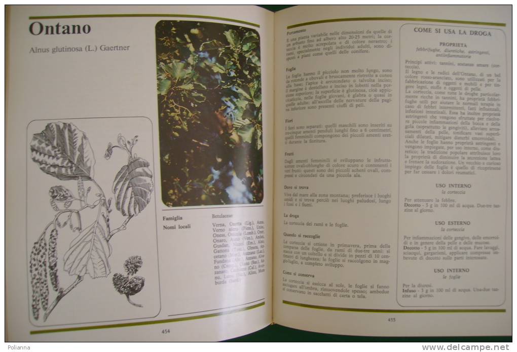 PFD/3 SCOPRIRE RICONOSCERE USARE LE ERBE Fabbri 1980/ERBORISTERIA/BOTANICA - Giardinaggio