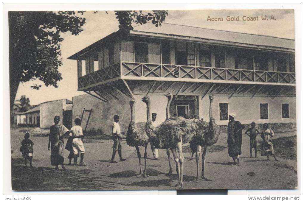 3373-ACCRA(GOLD  COAST)-OSTRICH-ANIMATA-1913-FP - Ghana - Gold Coast