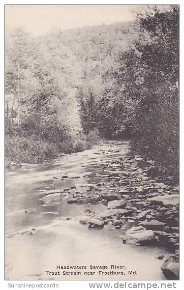 Maryland Frostburg Savage River Trout Stream Albertype - Sonstige & Ohne Zuordnung