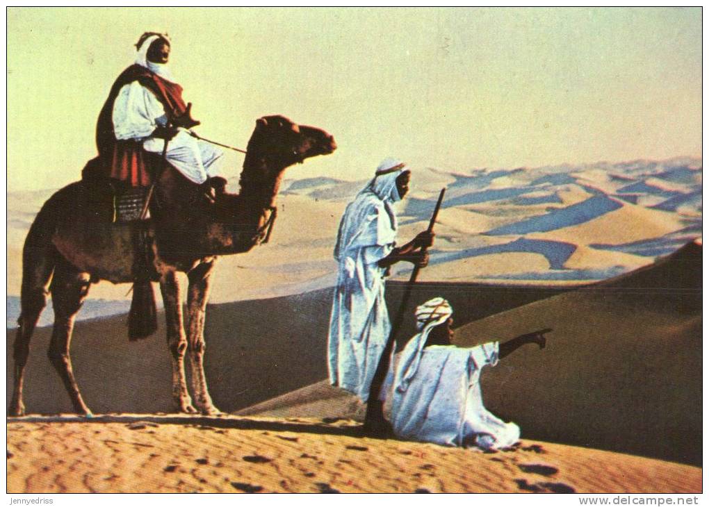 NEGED , Nomadi Del Deserto - Arabie Saoudite