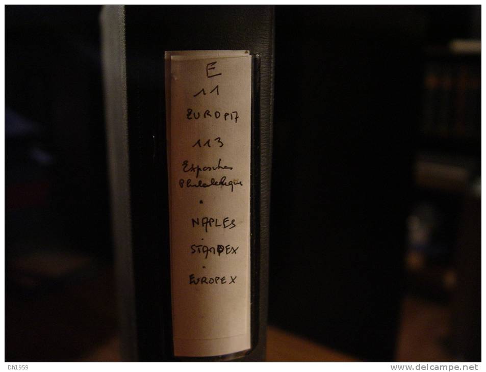 BLOCS EUROPA NAPLES NAPOLI ITALIA + EUROPEX STAMPEX CONSEIL EUROPE FDC COLLECTION DANS CLASSEUR + Env. 47 Doc. - Verzamelingen