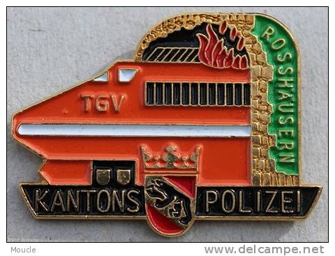 KANTONS POLIZEI BERN - BANHOF - TGV - POLICE DE LA GARE  BERNE - TRAIN -    -        (VERT) - TGV