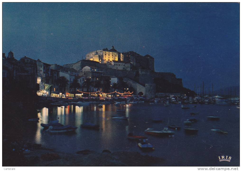 HAUTE CORSE,CALVI,BALAGNE,VILLE DE RESISTANT ANTI FASCISTE,PENDANT LA GUERRE,CITADELLE,PALAIS GIUBEGA,PORT,CABARET CLUB - Calvi