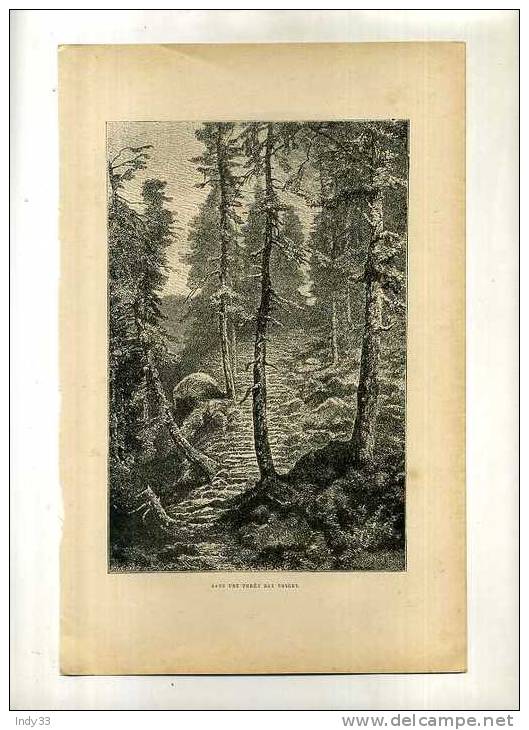 - FRANCE . DANS UNE FORET DES VOSGES . GRAVURE SUR BOIS FIN XIXe S. - Other & Unclassified