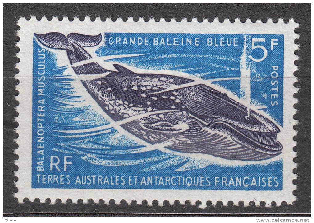 France Colonies, TAAF 1966 Mi#36 Mint Never Hinged - Neufs