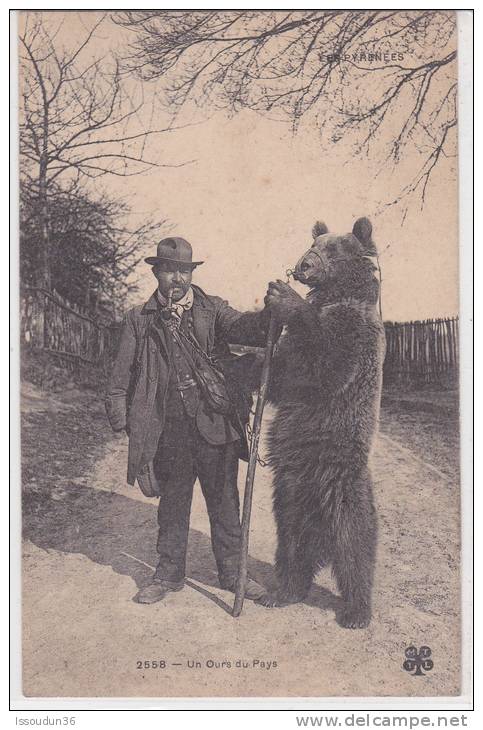 Aulus Les Bains      Un Ours Du Pays - Autres & Non Classés