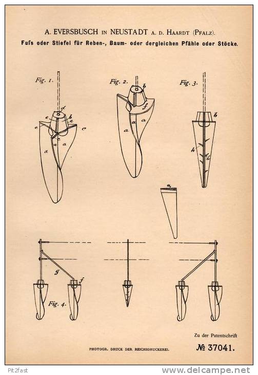 Original Patentschrift - A. Eversbusch In Neustadt A.d. Haardt , 1885 , Fuß Für Rebenstock , Rebe , Wein , Weinbau !!! - Historical Documents