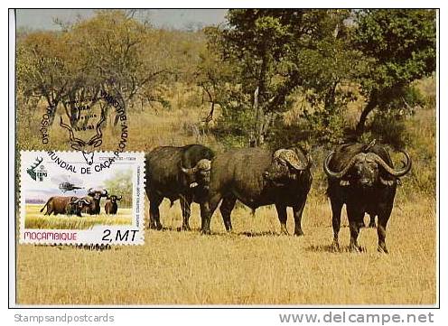 Mozambique Buffle Carte Maximum 1981 Buffalo Maxicard Moçambique - Game