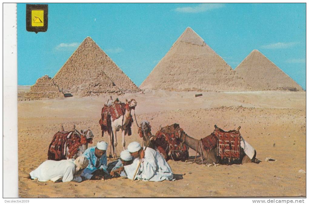 BR15551 Giza Kheops Khephren Chameaux Camel    2 Scans - Gizeh