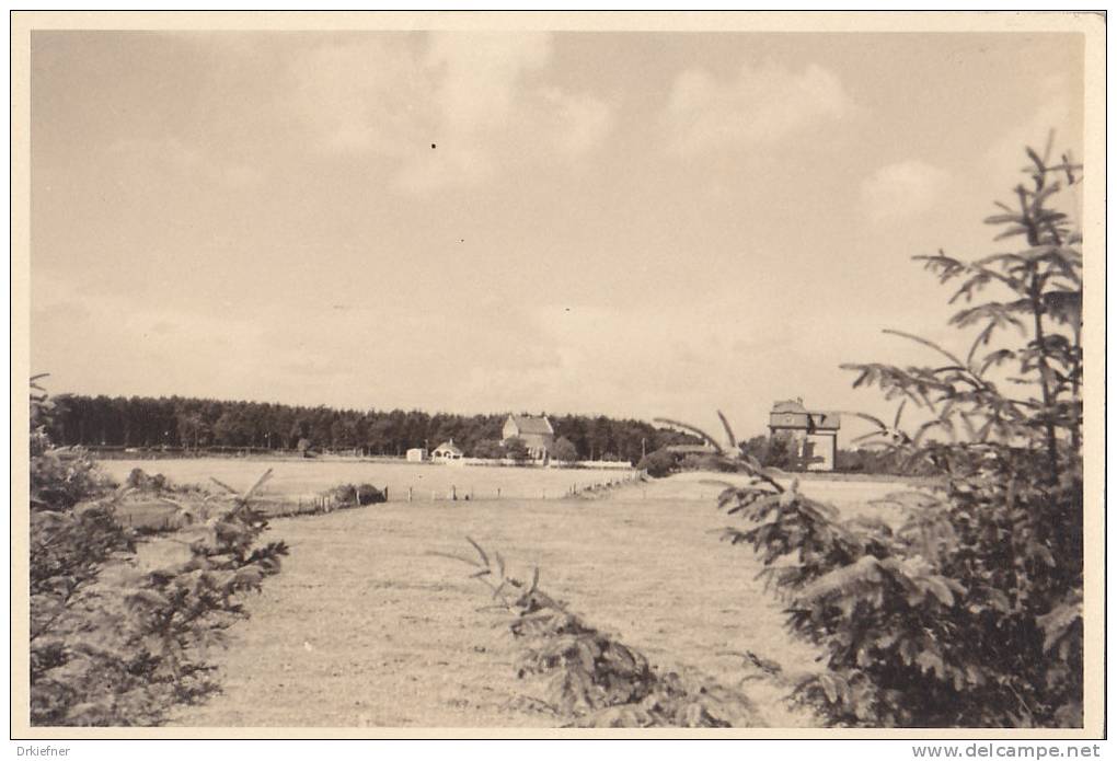 Wyk Auf Föhr, Kurpark, Foto 1935 - Föhr