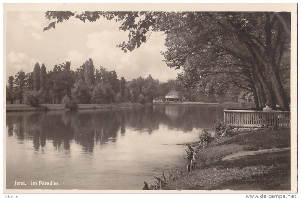 Jena, Im Paradies, Teich In Anlagen, Um 1935 - Jena