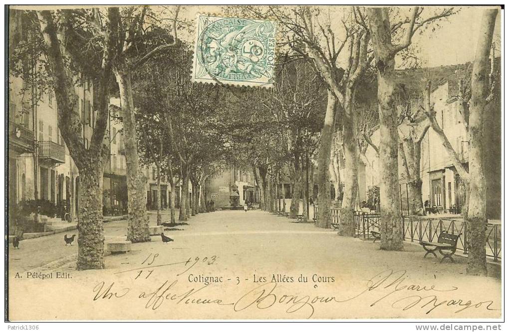 CPA  COTIGNAC, Les Allées Du Cours  7618 - Cotignac