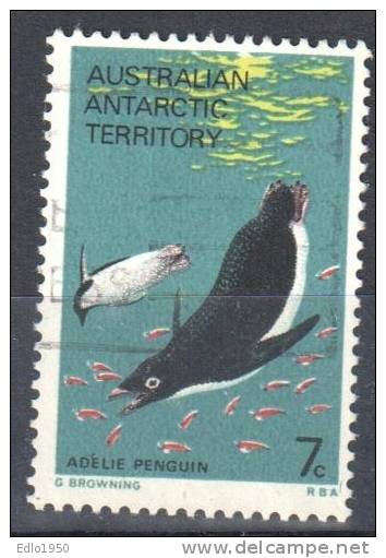 AAT Australian Antarctic Territory -1973 - Penguins  Mi.25 - Used - Used Stamps