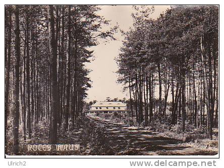 Echtphoto-Postkarte Bad Düben "Rotes Haus" Ca. 1950 (6193) - Bad Dueben