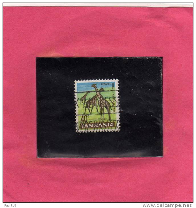 TANZANIA 1965 AFRICAN FAUNA ANIMALS GIRAFE GIRAFFE GIRAFFA GIRAFFES 40c USED USATO OBLITERE' - Tanzania (1964-...)