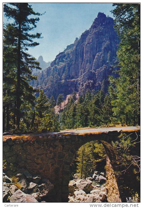 HAUTE CORSE,CORSICA,CORTI,CORTE,RESTONICA,AIGUILLE DU TOMBEAU,PONT,VIEILLES PIERRES,PHOTO LA CIGOGNE - Corte