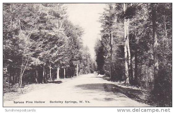 West Virginia Berkeley Spruce Pine Hollow Albertype - Otros & Sin Clasificación