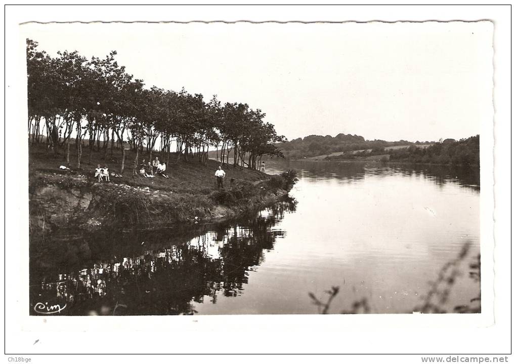 CSM :44 - Loire Atlantique : Savenay : Lac De La Vallée Mabille : Vue Peu Commune - Savenay