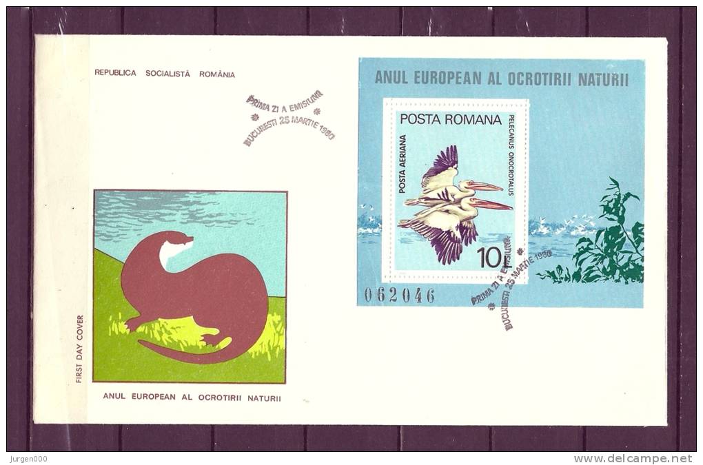 POSTA ROMANA, 25/03/1980 Prima Zi A Emisina - BUCURESTI (GA8840) - Cigognes & échassiers