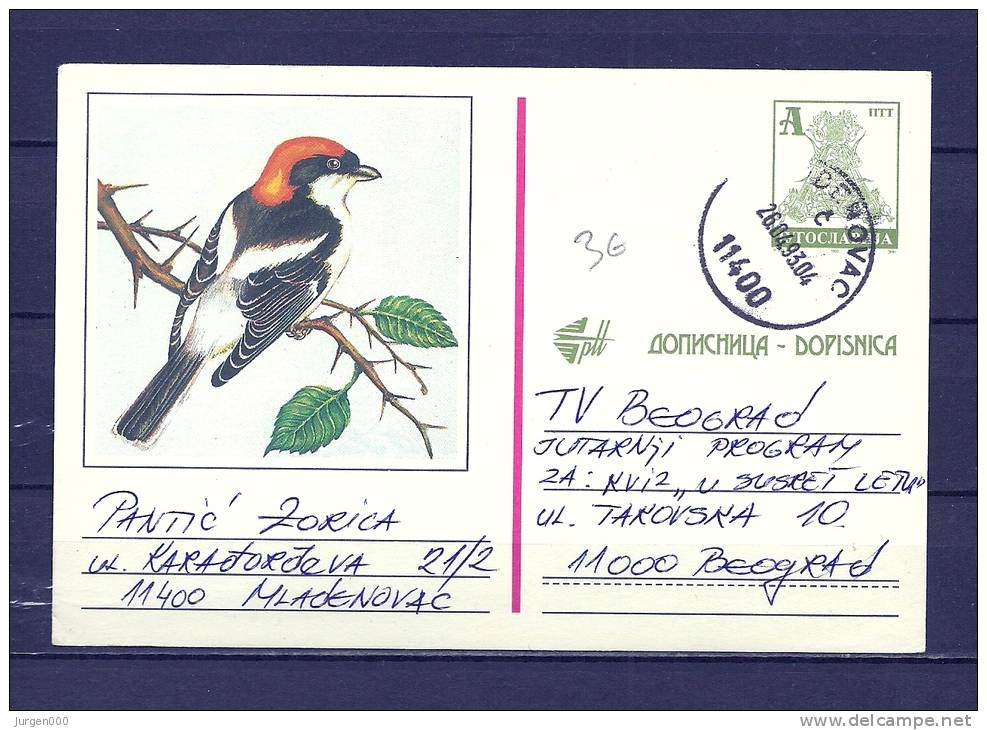 STOCJIABMJA, 26/04/1993 Dopisnica  (GA8844) - Albatros & Stormvogels