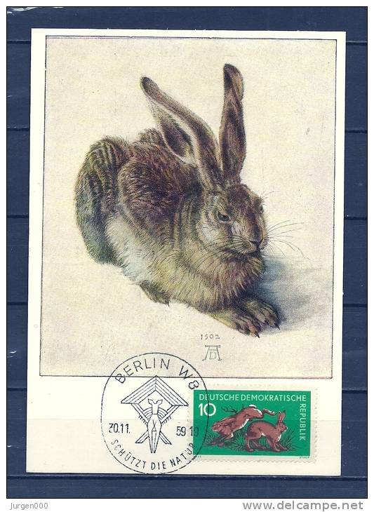 DUITSLAND, 30/11/1959 Schutzt Die Natur - BERLIN  (GA8926) - Conejos