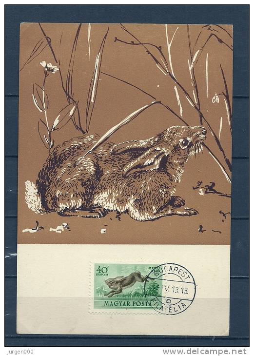 MAGYAR POSTA, 13/04/1953 Filatelia - BUDAPEST  (GA8927) - Rabbits