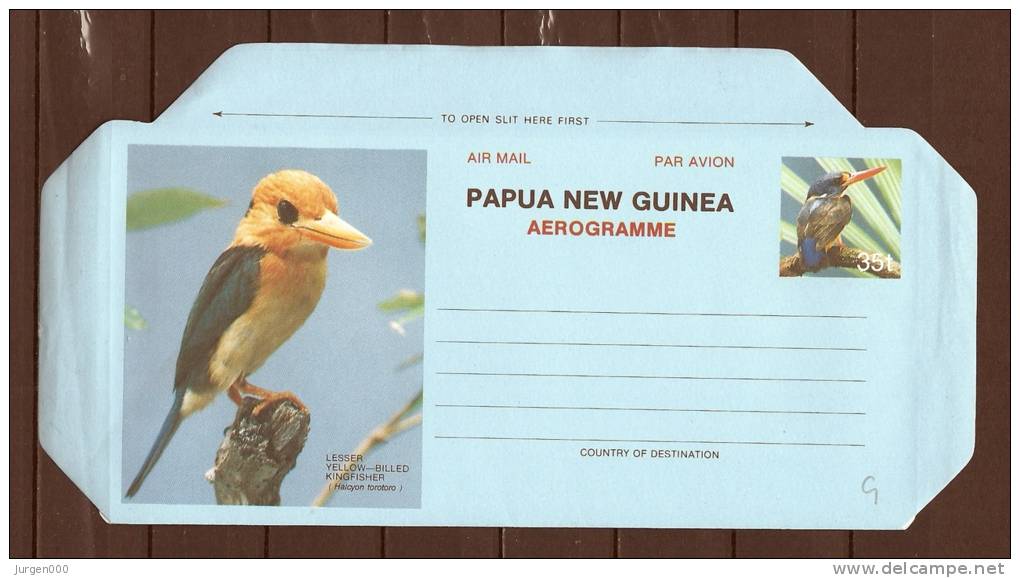 GUINEA, Air Mail Aerogramme  (GA8933) - Marine Web-footed Birds