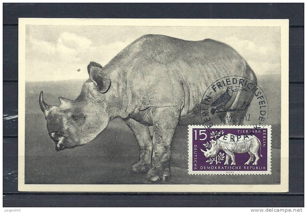 DUITSLAND, 14/12/1956 Tierpark - FRIEDRICHSFELDE  (GA8948) - Rhinoceros