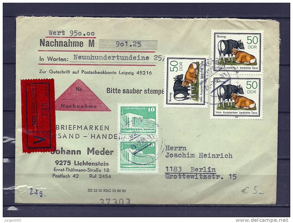 DUITSLAND, 25/07/1985 Brief  (GA8966) - Vaches