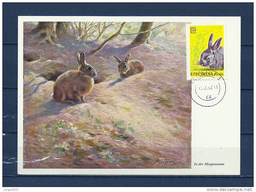 ROMINA, 15/02/1952 Postkaart - SIBIU (GA9025) - Rabbits