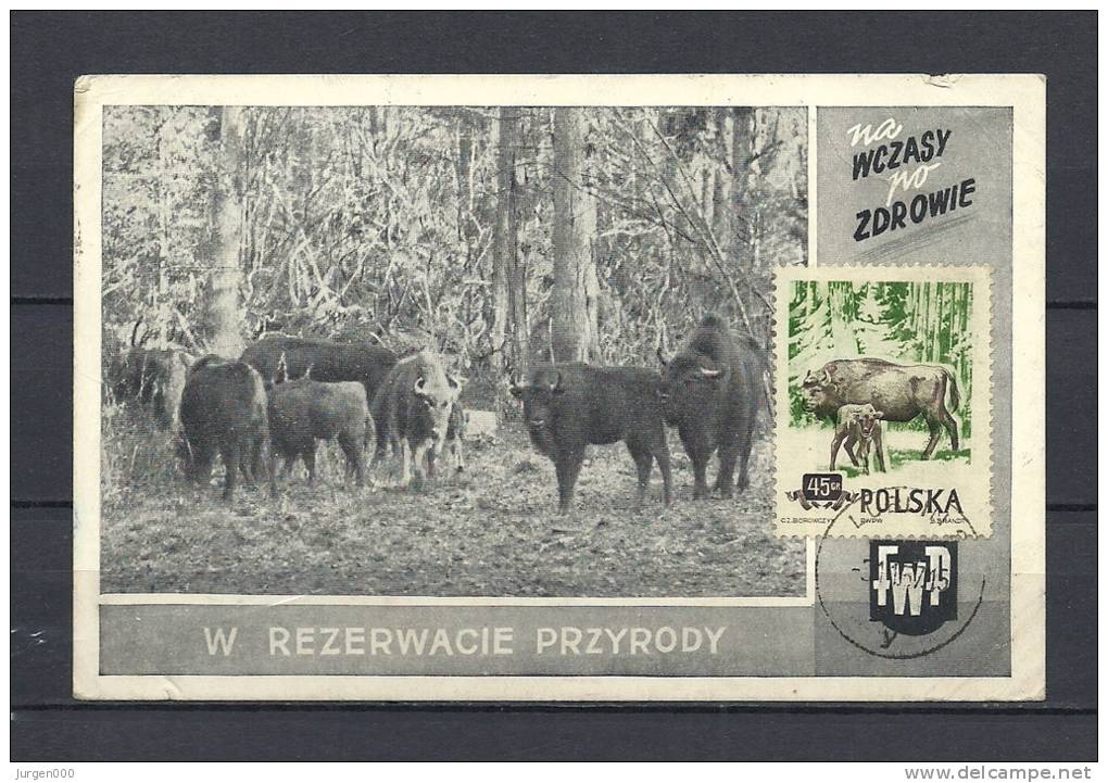 POLSKA, 31/01/1957 Rezerwacie Przyrody - LUEIIN  (GA9033) - Animalez De Caza