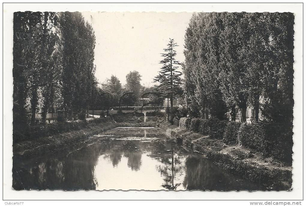 Carrières-sur-Seine (78) : La Pièce D'eau Ou Le Canal Vue Du Parc En 1959. - Carrières-sur-Seine