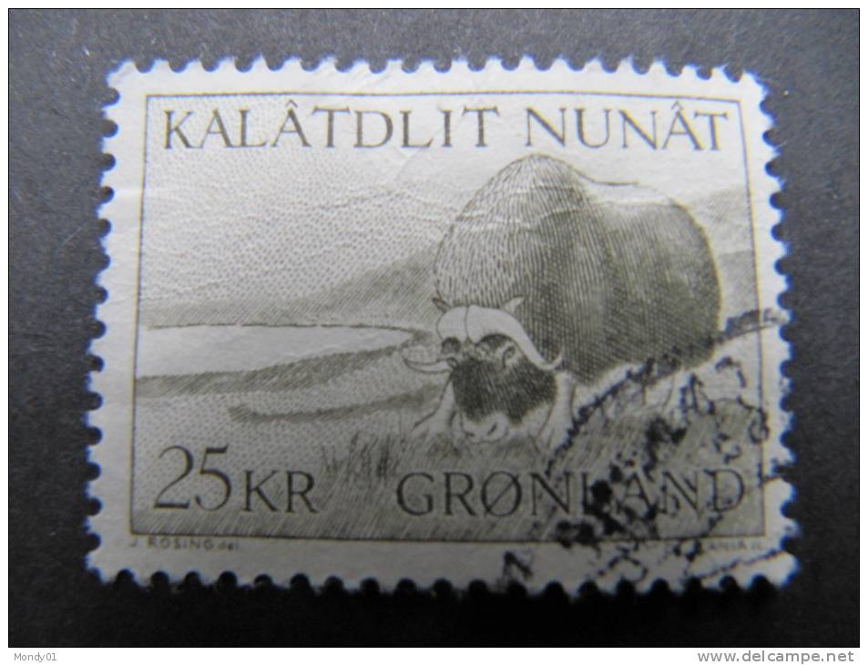 1117 Groenland Greenland  Boeuf Muske Beef Musk Polar Polaire Arktis Arctic Polare Artico Ovibos Mochatus - Fauna ártica