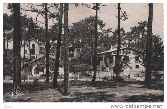 .ARCACHON (.les Belles Villas Dans Les Dunes ) - Arcachon