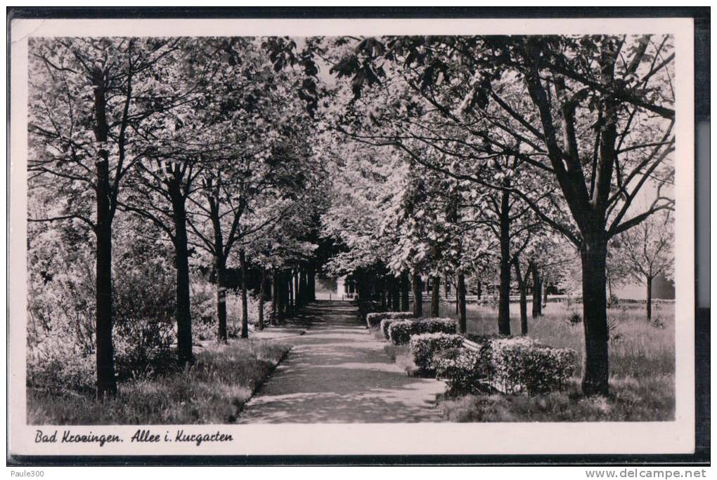 Bad Krozingen - Allee Im Kurgarten - Bad Krozingen