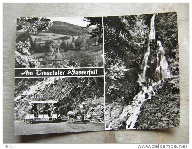 Am Trusetaler Wasserfall - Ane Donkey Esel   D97216 - Bad Liebenstein