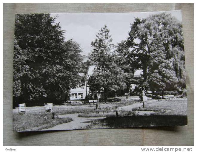 Genesungsheim  BUCHHOLZMÜHLE - Kr. Rosslau -  Stamp Ship Schiff Bateau  DSR Lines  MS Fichtelberg     D97243 - Rosslau