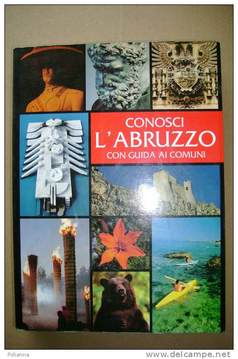 PBO/13  CONOSCI L´ABRUZZO Con Guida Ai Comuni Ediars 1998/provincia Di Chieti - L´Aquila - Pescara - Teramo - Turismo, Viaggi