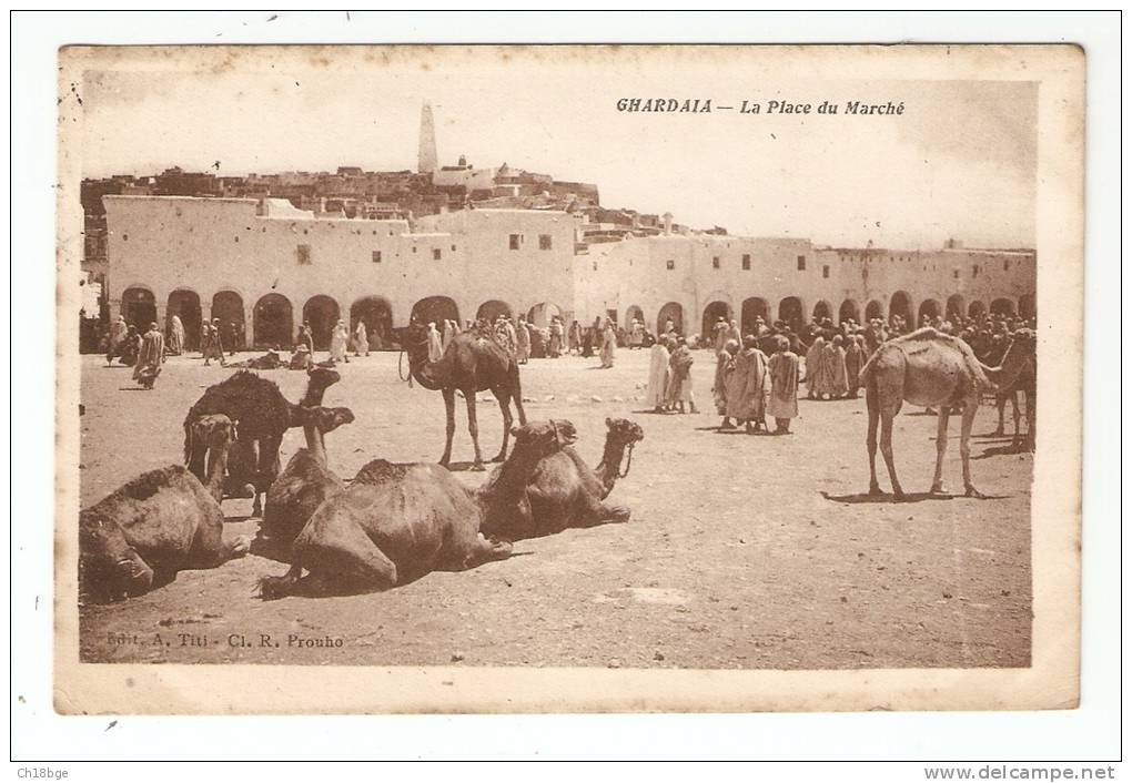 CPA - Algérie - Ghardaia : Place Du Marché : Maisons, Chameaux - Carte écrite Et Signée Jean Mélia ( écrivain ) - Ghardaïa