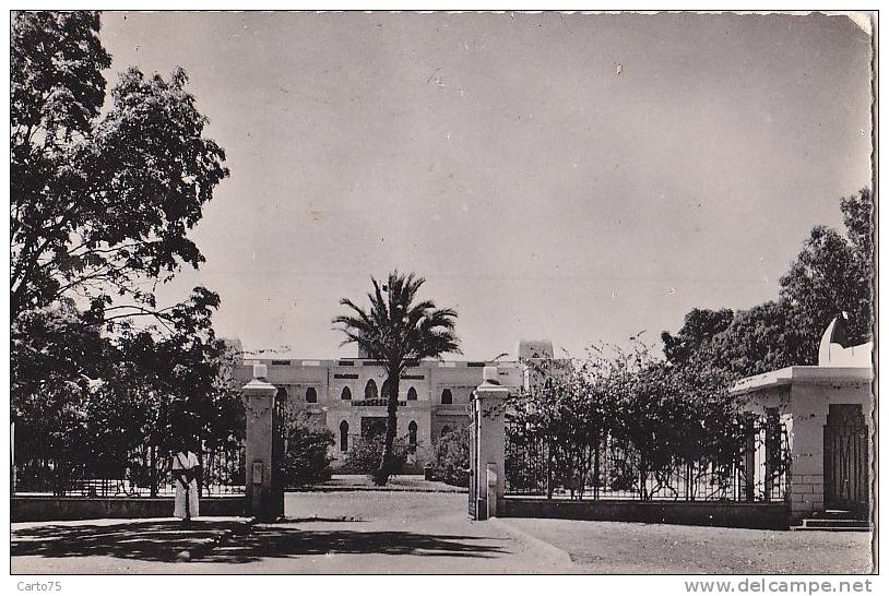 Afrique -  Niger - Niamey - Palais Du Gouverneur - Oblitération Niamey Avion - Niger