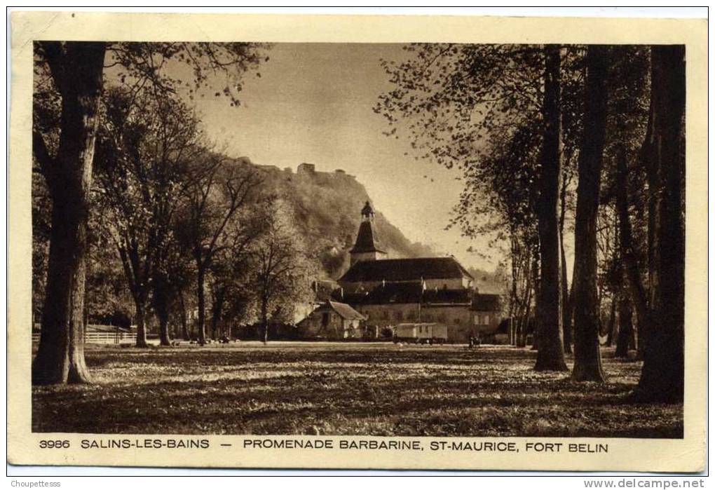 39 - Salins Les Bains - Promenade Barbarine , Saint Maurice , Fort  Belin  N° 3986 - Autres & Non Classés