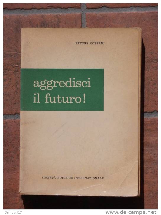 AGGREDISCI IL FUTURO - ETTORE COZZANI - Arte, Architettura