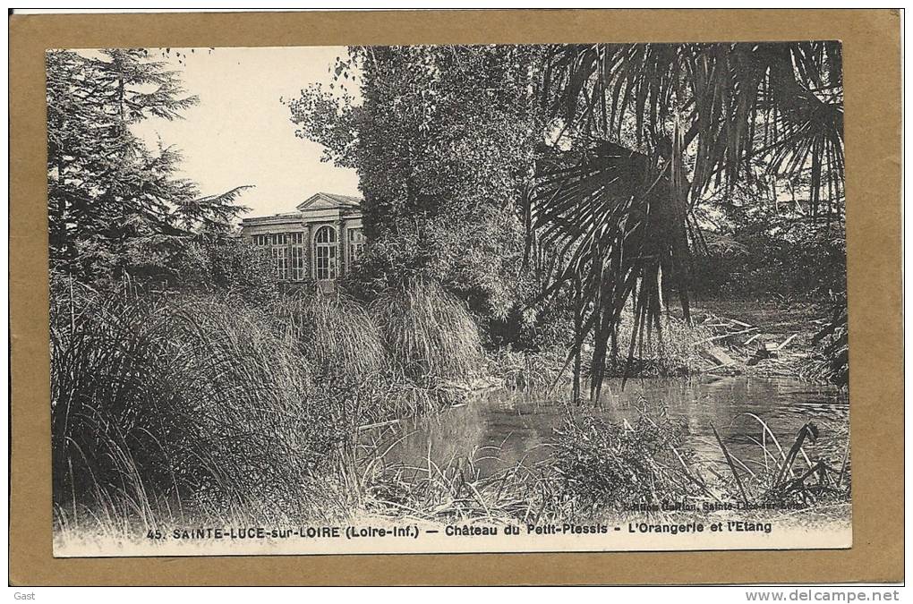 44    SAINTE  LUCE  SUR  LOIRE    CHATEAU  DU  PETIT - PLESSIS  L ORANGERIE  ET  L  ETANG - Nort Sur Erdre