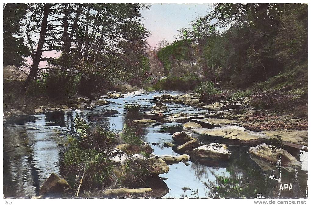 LA SALVETAT  BORDS DE L'AGOUT - La Salvetat