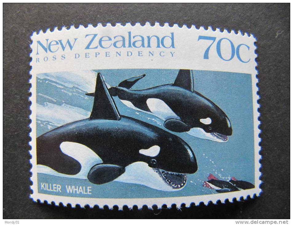 1230 Antartico Antarctique Antarctic  Pole Sud South Killer Whale Baleine Tueuse Orque - Fauna Antártica